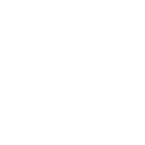 ev-chargers-icon